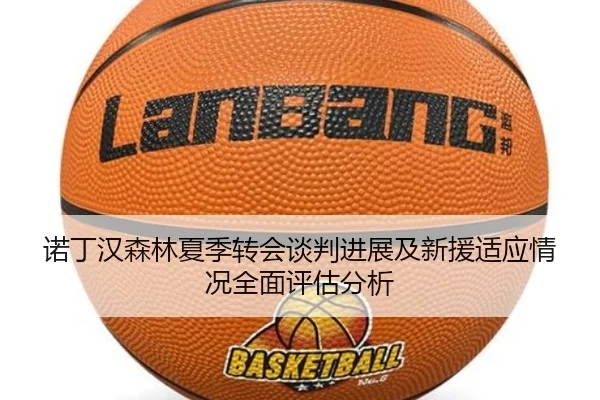 诺丁汉森林夏季转会谈判进展及新援适应情况全面评估分析 | WEIDE